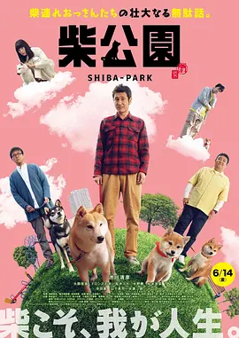 1080HD高清在线观看