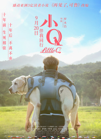 蓝光原盘在线观看